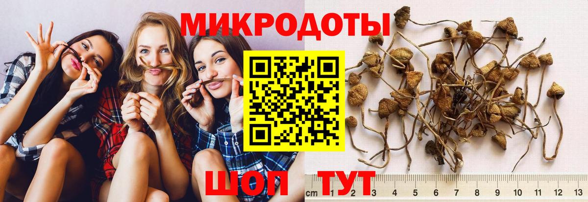 НБОМе  Вход с VPN  Майкоп  МЕФ кристаллы  Конопля  ГАШИШ  КОКАИН  Метадон  Вейп ТГК 