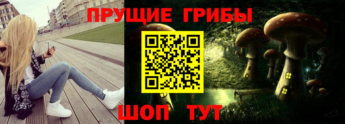 Псилоцибиновые грибы GOLDEN TEACHER  Галлюциногенные грибы Magic Shrooms  Майкоп  Вход с VPN 