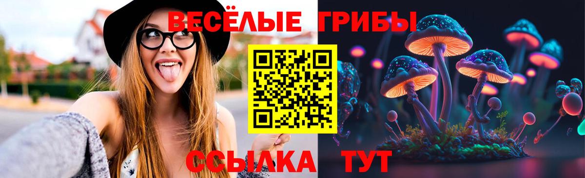 Псилоцибиновые грибы мухоморы Майкоп